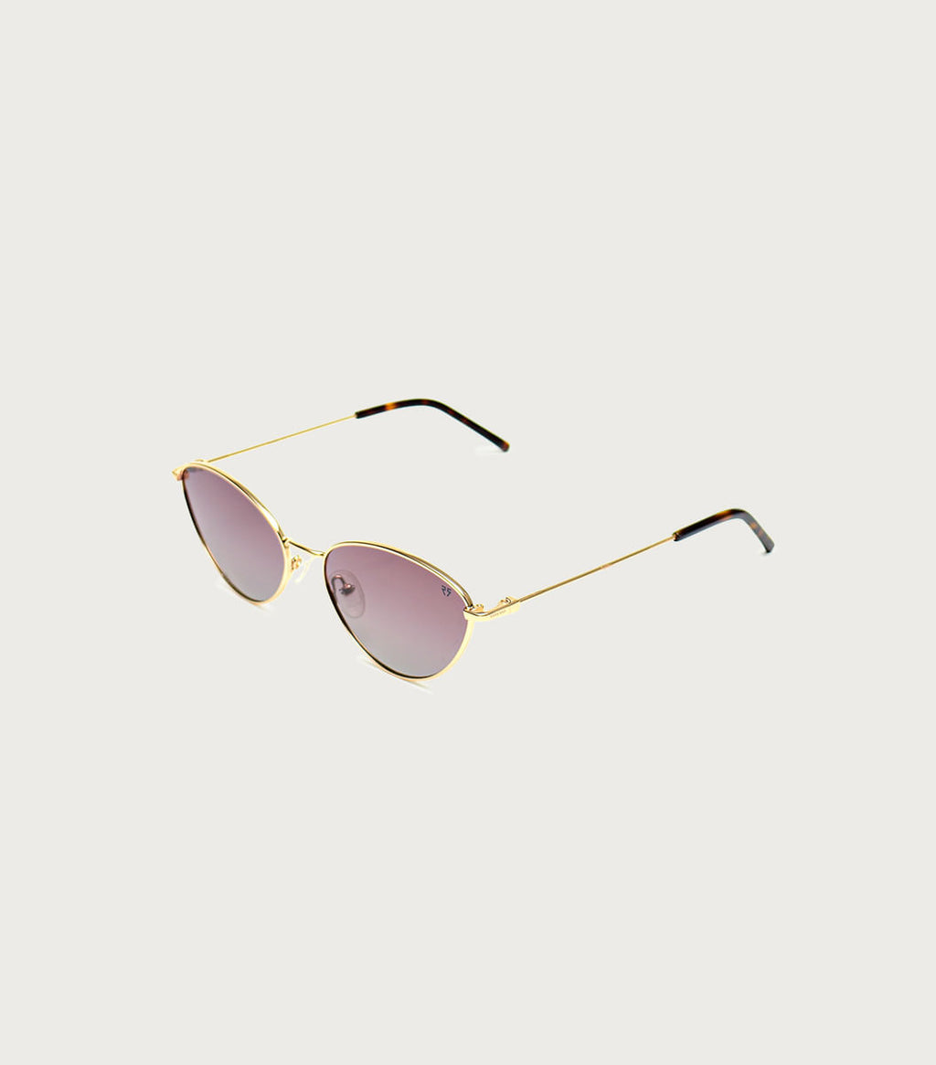 Anteojos RS901